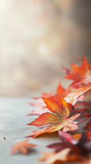 A stunning fall composition with bright red maple leaves in the foreground and a gently blurred background.