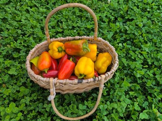 Poster - Sweet pepper in the basket