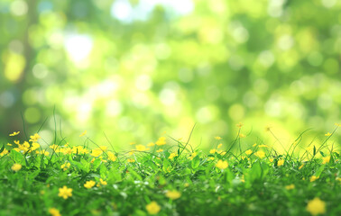Wall Mural - beautiful blurred background of natural spring green grass and forest meadow with trees on a sunny d