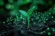 © khalid_spk - A close-up of a young plant growing in fertile soil, connected by glowing green nodes