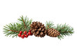 © Pham Ty - Christmas decoration of holly berry and pine cone isolated on white background