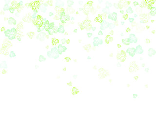 Wall Mural - Autumn falling leaves isolated on white background.  Flying green leaves. 
