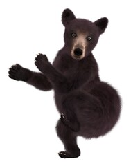 Black bear cub on white background. 3D illustration.