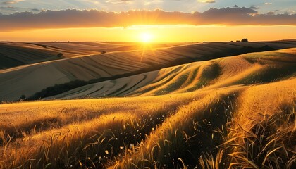 Wall Mural - Tranquil golden hour over rolling cultivated fields radiating natural beauty and serene warmth