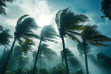 Strong gale causes palm trees to lean, tropical cyclone, and typhoon in the tropics