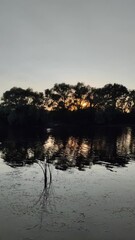 Wall Mural - sunset on the river. sunrise on the lake shore. sun behind the trees. beautiful natural landscape with sunset and water. high definition video. sun glare on water. dark water in the river.