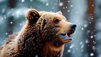 Wall Mural - Young brown bear enjoying snowfall in winter forest, capturing the essence of wildlife in a snowy wonderland