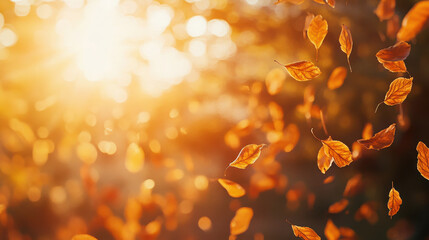 Wall Mural - A serene scene of falling autumn leaves illuminated by warm sunlight.