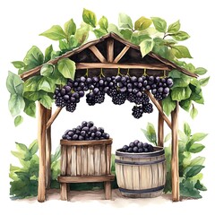 Wall Mural - Watercolor Illustration of Grapes Hanging From a Wooden Trellis.