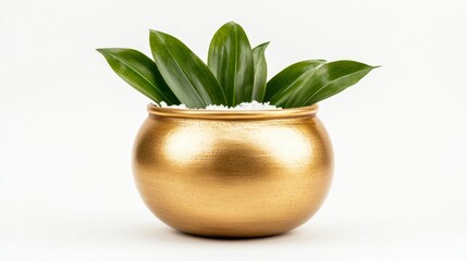 Golden Diwali kalash pot filled with coconut mango leaves isolated on white background symbolizing abundance and spiritual purity 