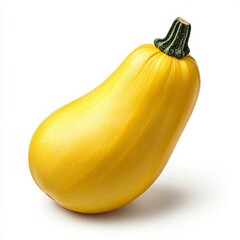 Single spaghetti squash with pale yellow skin and long oblong shape symbolizing autumn vegetables isolated on white background 