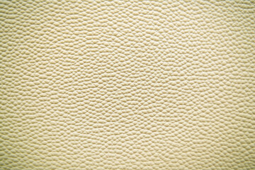 Wall Mural - Beige Grain Leather Texture. Background.