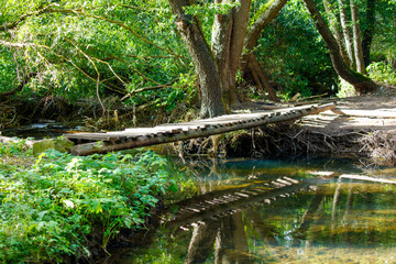 A wooden bridge spans a river, with trees on either side