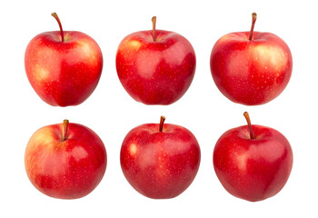 Sticker - red apples path isolated on white