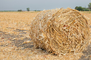 A large hay bale sits in a harvested field under a cloudy sky symbolizing autumn harvest and agricultural work