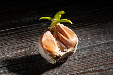 Sticker - garlic on black wood background