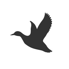 Wall Mural - Flying duck graphic icon. Drake sign isolated white background. Vector illustration