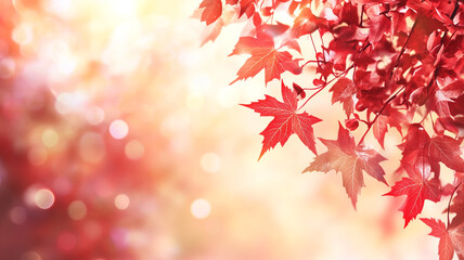 Wall Mural - Autumn background with red maple leaves and blurred sunlight in the autumn season