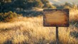 © The Little Hut - Close up image of an empty sign with copy space dry grass on the background on a sunny day State park California USA : Generative AI