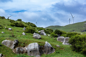 Green prairie under blue sky and white clouds