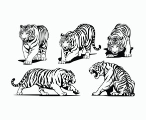 Wild animal tiger silhouette EPS vector isolated illustration template on a white background