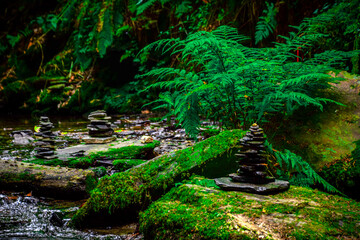 A river runs through a jungle of ferns