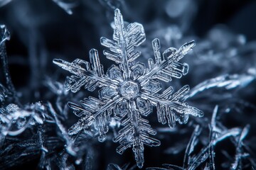 Poster - Highly detailed image of a single snowflake in sharp focus, highlighting its intricate structure and stunning natural complexity, perfect for winter-themed stock photos.