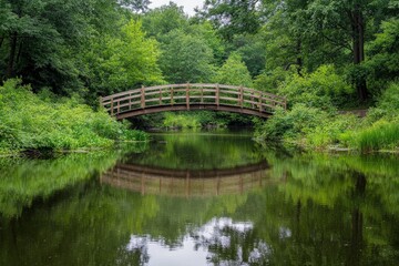 Poster - A wooden bridge arches over a calm river enveloped by lush green foliage and trees, creating a serene and peaceful natural scene in the heart of a forest.