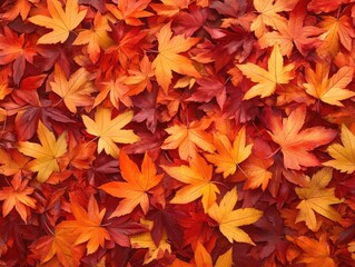 Canvas Print - autumn leaves background