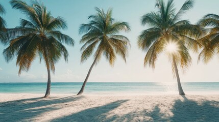 Poster - Palm Trees on a Tropical Beach