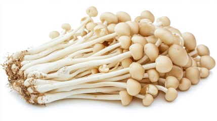 Poster - A pile of Yanagi mushrooms on a clean white background, with their long, slender stems creating a visually appealing contrast against the white backdrop