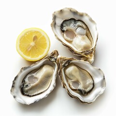 French oyster with lemon