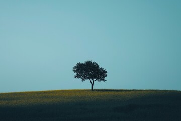 A solitary tree stands in the middle of an expansive field beneath a clear blue sky, creating a peaceful scenic landscape.