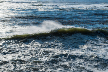 Wall Mural - Waves Crashing on Rocks, Oregon Coast, USA