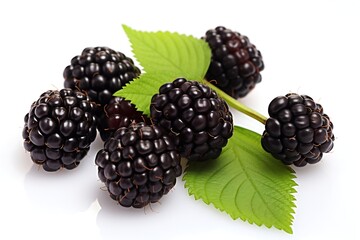 Wall Mural - Blackberry on white background, Fresh Blackberry