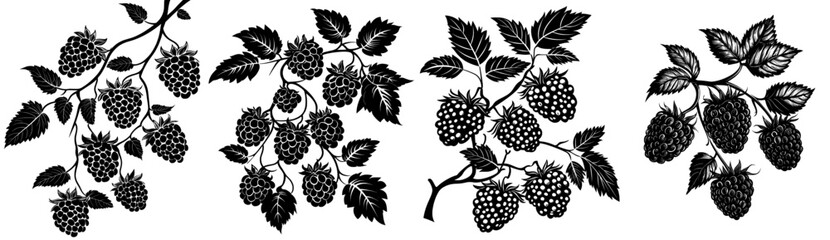 In this illustration, there is a raspberry silhouette, a leaf logo tree icon, a summer nature branch garden organic food berry, a green vegetarian shape, and a sweet natural healthy background.