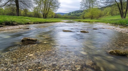 Sticker - A serene river scene with smooth water, pebbles, and lush greenery along the banks.