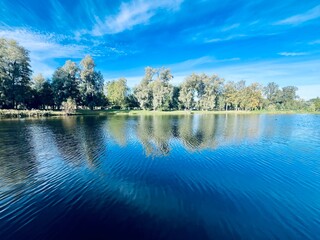 Wall Mural - Beautiful blue lake in the park, sky and trees reflection on the lake surface