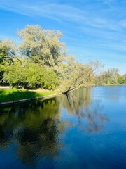 Wall Mural - Beautiful blue lake in the park, sky and trees reflection on the lake surface