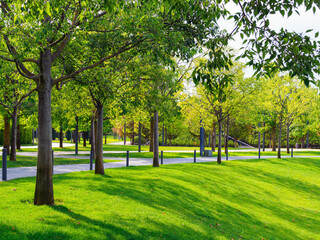 in a public park on a sunny morning