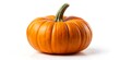 © PhotoParadise - Elegant Autumn Glow Vibrant Orange Pumpkin in Minimalist White Setting - Perfect for Seasonal Marketing and Educational Materials