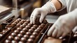 © Luka - A chocolate factory worker's hands in white gloves placing chocolate truffles into black boxes, with chocolate bonbons in the background