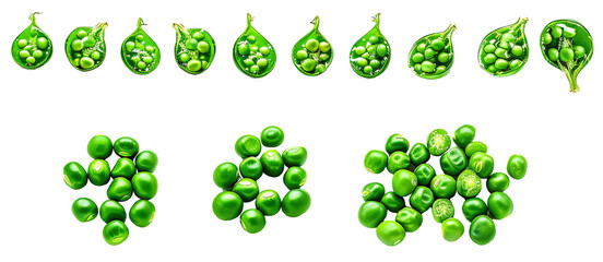 Collect green peas. On transparent background. PNG