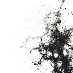 Poster - Abstract black ink splatter on a white background, creating a striking artistic effect for modern designs and creative projects.