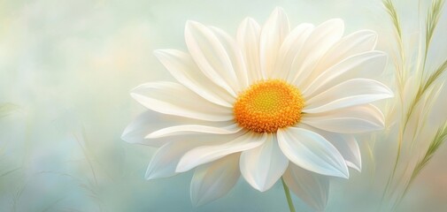 A white flower with a yellow center is the main focus of the image