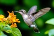 © Sanchai - A hummingbird hovering near a flower, its wings beating rapidly as it sips nectar
