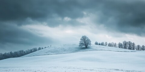 Canvas Print - A snowy hill under a gray sky 