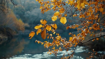 Wall Mural - Colorful autumn leaves along a river.