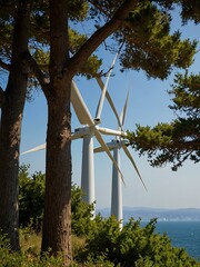 Poster - Wind turbines through a frame of coastal trees, blending man-made and natural.