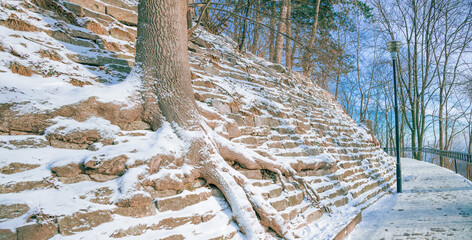 idyllic panoramic beautiful winter landscape nature park tree roots alley walking way and lantern fairy tale scenic view in December time Christmas eve festive holidays season